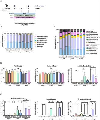 Prebiotic potential of green banana flour: impact on gut microbiota modulation and microbial metabolic activity in a murine model